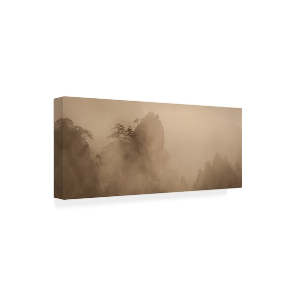 Dan Ballard 'Lost In Fog' Canvas Art,8x19